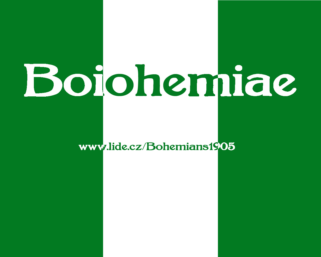 Vlajka Bohemianslide.jpg